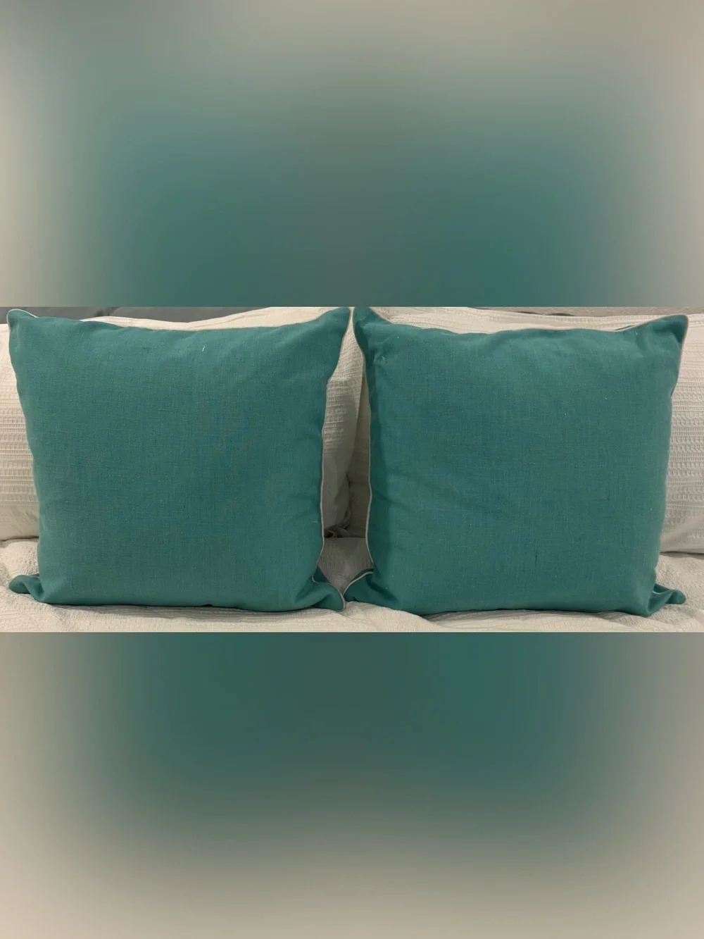 Green Shell Print 20” Throw Pillows